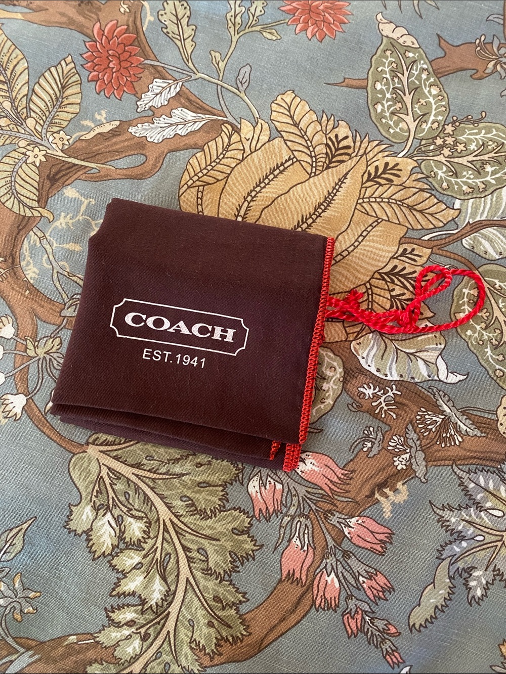 COACH Dust bag (18x14 inches)